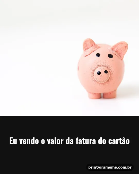 Exemplo do meme “Vendo a fatura”