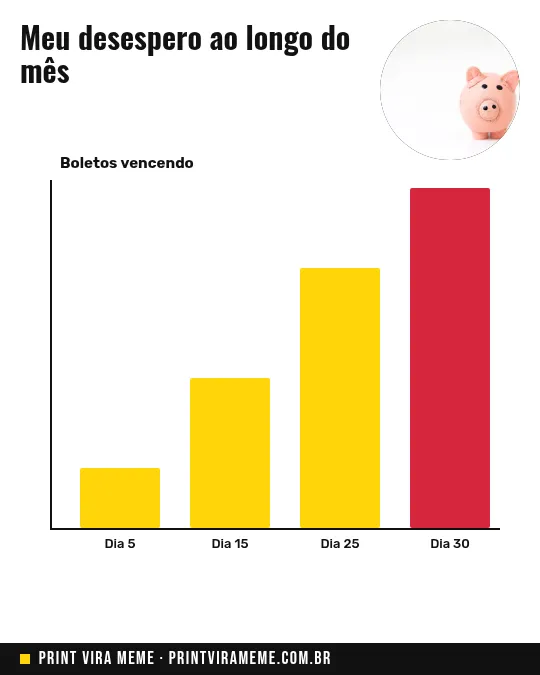 Exemplo do meme “Meu dinheiro no mês”
