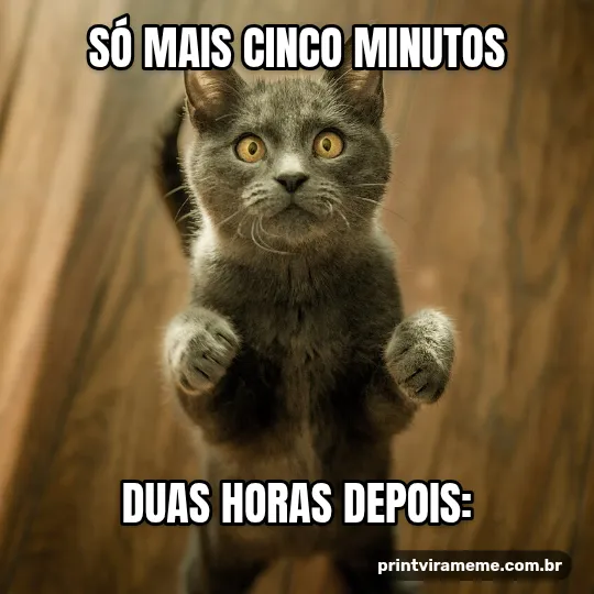 Exemplo do meme “Só mais cinco minutos”