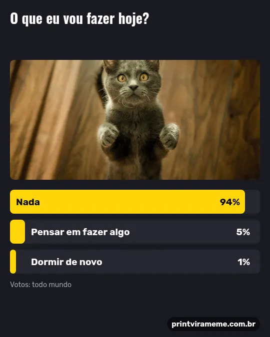 Exemplo do meme “O que eu vou fazer hoje”