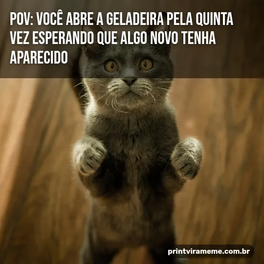 Exemplo do meme “Geladeira pela quinta vez”