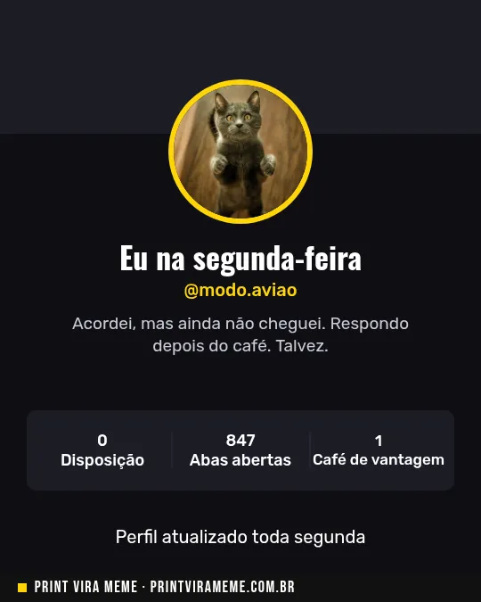 Exemplo do meme “Meu perfil na segunda-feira”