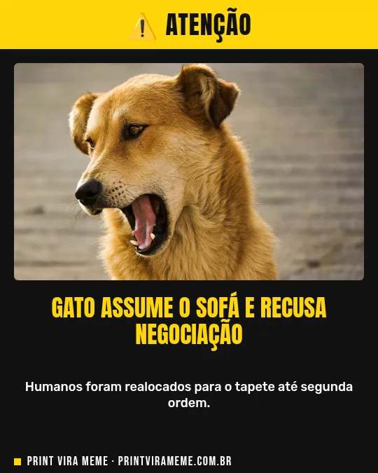 Exemplo do meme “Gato assume o sofá”